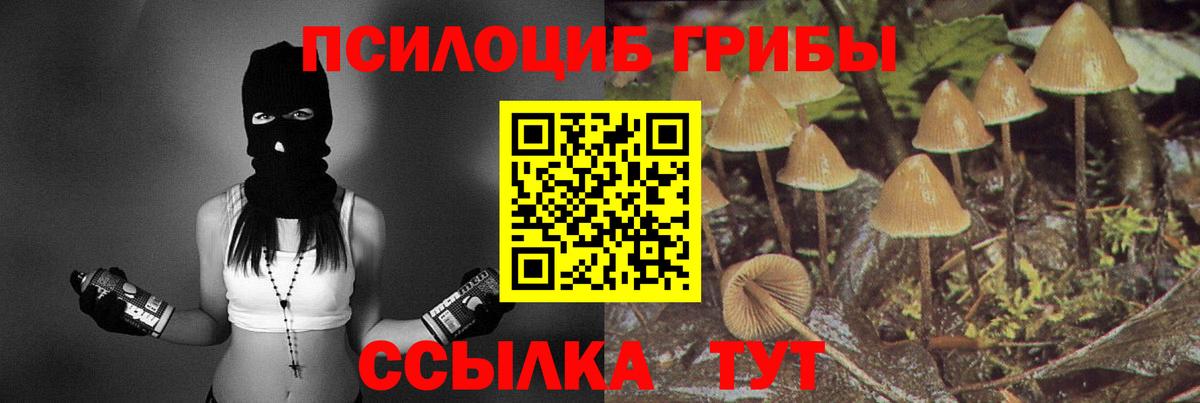 Галлюциногенные грибы GOLDEN TEACHER  Галлюциногенные грибы мицелий  где купить наркоту  Вход с VPN  Топки 